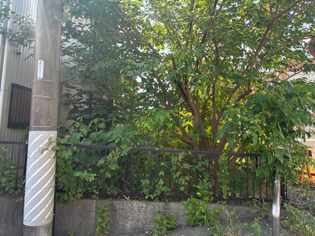 施工事例